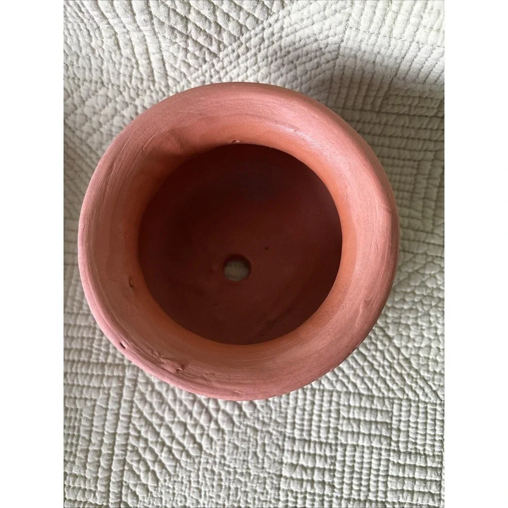 Hand Painted Terra Cotta Gecko Planter Pot Southwestern Desert Boho Pink Lizard